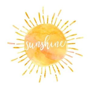 Meet your Posher, Ally